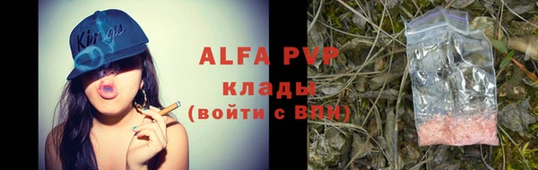 гашик Гусиноозёрск
