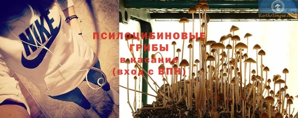 гашик Гусиноозёрск